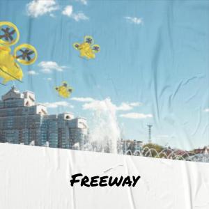 Listen to Freeway song with lyrics from Jussi
