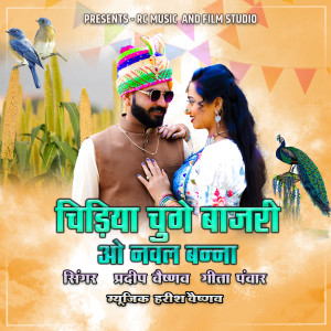 Pradeep Vaishnav的专辑Chidiya Chuge Baajri O Naval Banna