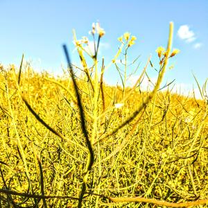 收聽Jim Beau的All I Want歌詞歌曲