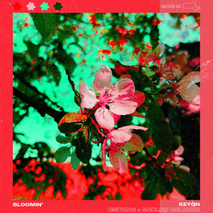 Album Blooming (Explicit) oleh KEYON