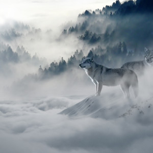 收听Yoga Tribe的Soothing Harmony歌词歌曲