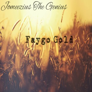 ดาวน์โหลดและฟังเพลง 300 พร้อมเนื้อเพลงจาก Jomeezius The Genius