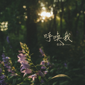 Dengarkan 呼喚我 lagu dari 张珈珈 dengan lirik