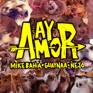 อัลบัม Ay Amor ศิลปิน Mike Bahía