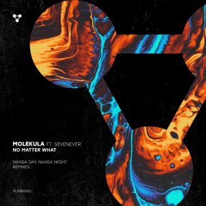 Listen to No Matter What (NAASA Day Remix) song with lyrics from Molekula
