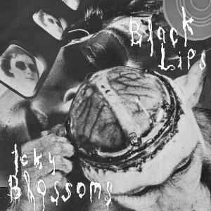 Icky Blossoms的專輯Cowboy Knights