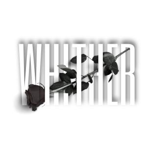 Karim Rushdy的專輯Whither (feat. Ruca)