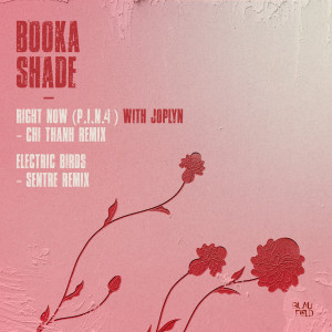 Listen to Right Now (P.I.N. 4) (Chi Thanh Remix) song with lyrics from Booka Shade