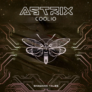 ดาวน์โหลดและฟังเพลง Techno Widows พร้อมเนื้อเพลงจาก Astrix