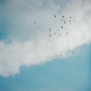 default album img