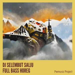 Dj Selembut Salju Full Bass Horeg (Remix) dari PWMUSIC PROJECT
