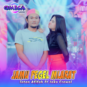Listen to Jamu Pegel Mlarat song with lyrics from Intan Afifah