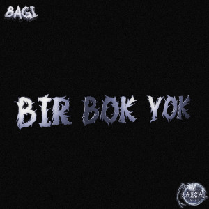 Listen to Bir Bok Yok (Explicit) song with lyrics from Bagi