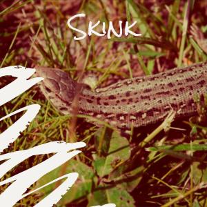 Listen to Skink song with lyrics from Geline Ceno