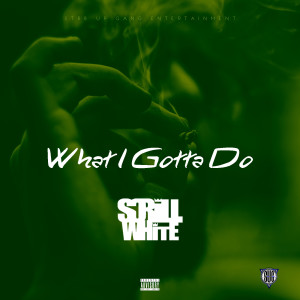 Album What I Gotta Do (Explicit) from Scrill White