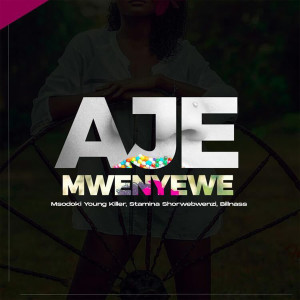 Album Aje Mwenyewe oleh Stamina Shorwebwenzi