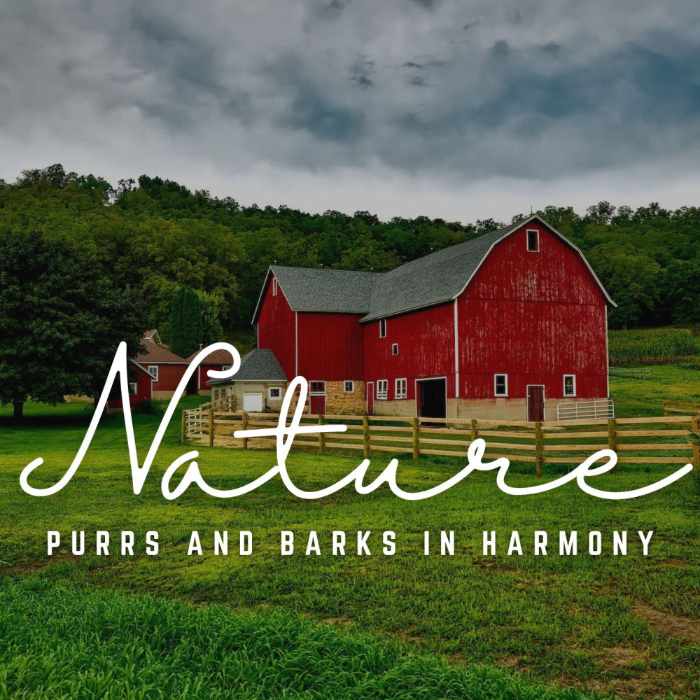 Blissful Moments with Our Furry Friends