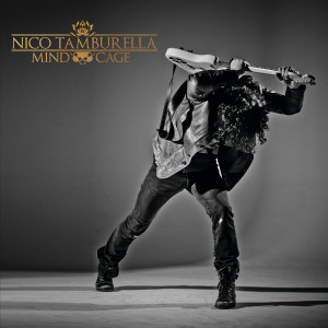 ดาวน์โหลดและฟังเพลง Voices in My Head พร้อมเนื้อเพลงจาก Nico Tamburella