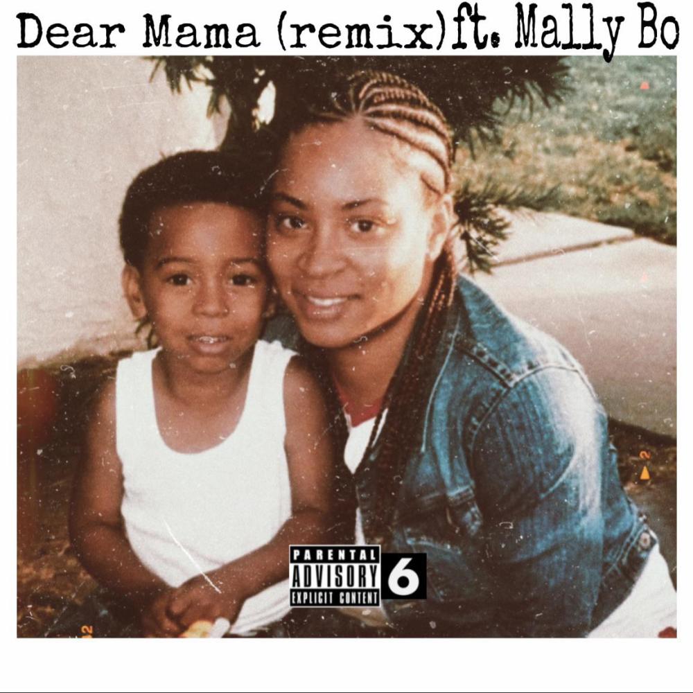 Dear Mama (feat. Mally Bo) (REMIX|Explicit)