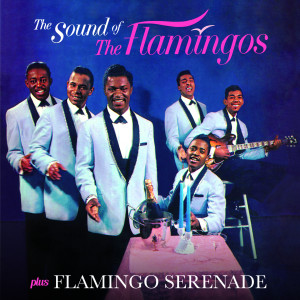 The Sound of the Flamingos