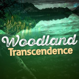 Woodland Transcendence