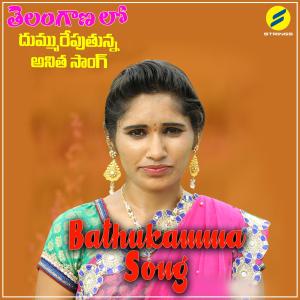 Album Bathukamma Song from Madhu