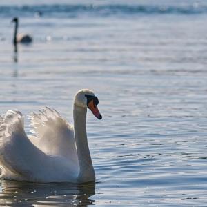Dengarkan lagu Penyesalan Ku nyanyian puji dengan lirik