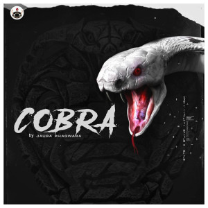 Album Cobra from Jaura Phagwara