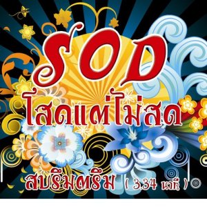 ดาวน์โหลดและฟังเพลง สบรึมตรึม (ซิงเกิ้ล) พร้อมเนื้อเพลงจาก S.O.D. โสดแต่ไม่สด