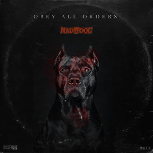 DJ Mad Dog的专辑Obey All Orders