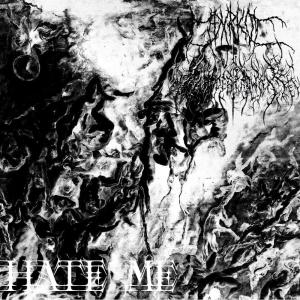 收聽Xander Crowley的HATE ME (Explicit)歌詞歌曲