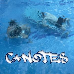 ดาวน์โหลดและฟังเพลง Loca พร้อมเนื้อเพลงจาก C-Notes