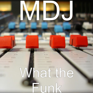 ดาวน์โหลดและฟังเพลง What the Funk พร้อมเนื้อเพลงจาก MDJ