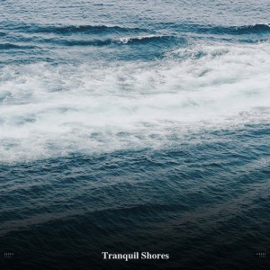 !!!!" Tranquil Shores "!!!! dari Ocean Waves