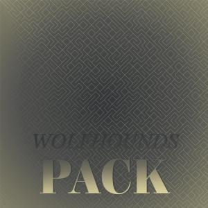 Various Artists的專輯Wolfhounds Pack