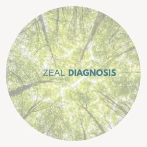 收聽Zeal的DIAGNOSIS (feat. Landmarque)歌詞歌曲