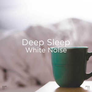 Dengarkan White Noise lagu dari BodyHI dengan lirik