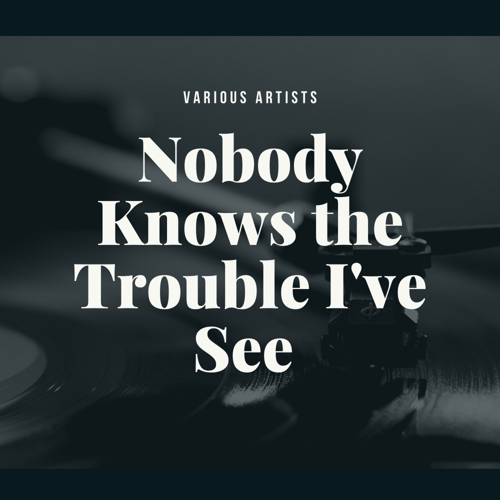 Nobody Knows the Trouble I've See