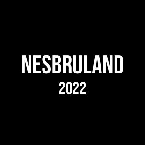David Gutta的專輯Nesbruland 2022 (Explicit)