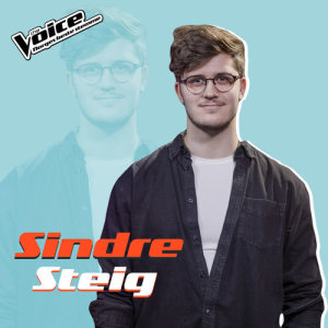 ดาวน์โหลดและฟังเพลง Stop This Train (Fra TV-Programmet "The Voice") พร้อมเนื้อเพลงจาก Sindre Steig