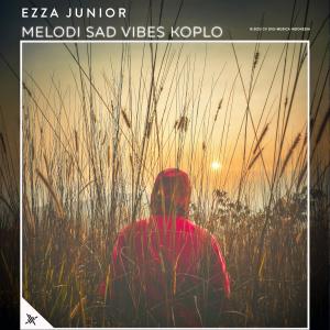 Ezza Junior的专辑Melodi Sad Vibes Koplo (Explicit)