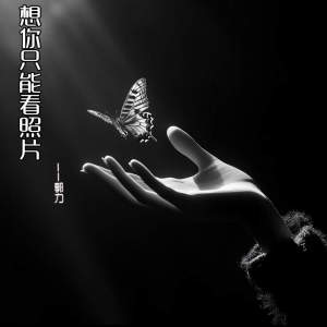 Album 想你只能看照片 from 郭力