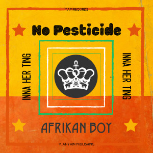 Afrikan Boy的專輯No Pesticide