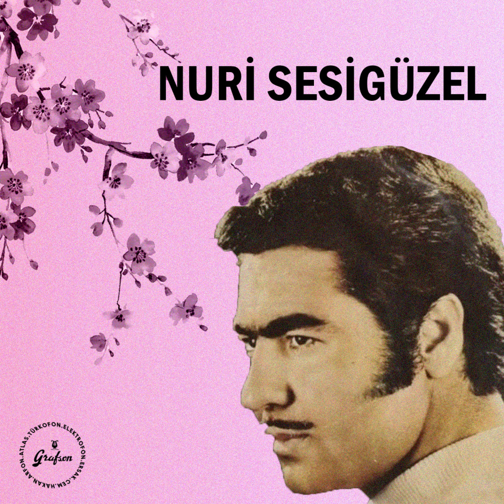 Vay Benim Arsız Gönlüm