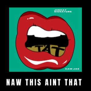 收聽Jushay Signature的NAW THIS AINT THAT (feat. Cam Jae) (Explicit)歌詞歌曲