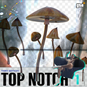 GTA Houbou的專輯Top Notch (Explicit)