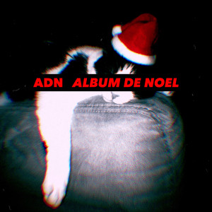 Listen to Hot Milk song with lyrics from ADN