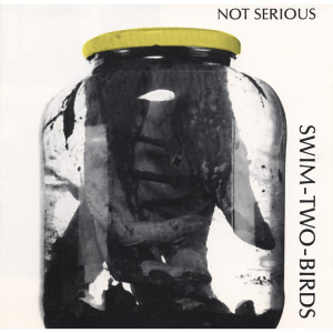 ดาวน์โหลดและฟังเพลง Not Me พร้อมเนื้อเพลงจาก Swim Two Birds