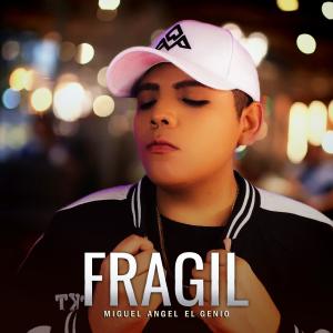 ดาวน์โหลดและฟังเพลง Fragil (Balada Version) พร้อมเนื้อเพลงจาก Miguel Angel ElGenio