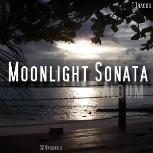 收聽Moonlight Sonata的Moonlight Sonata歌詞歌曲